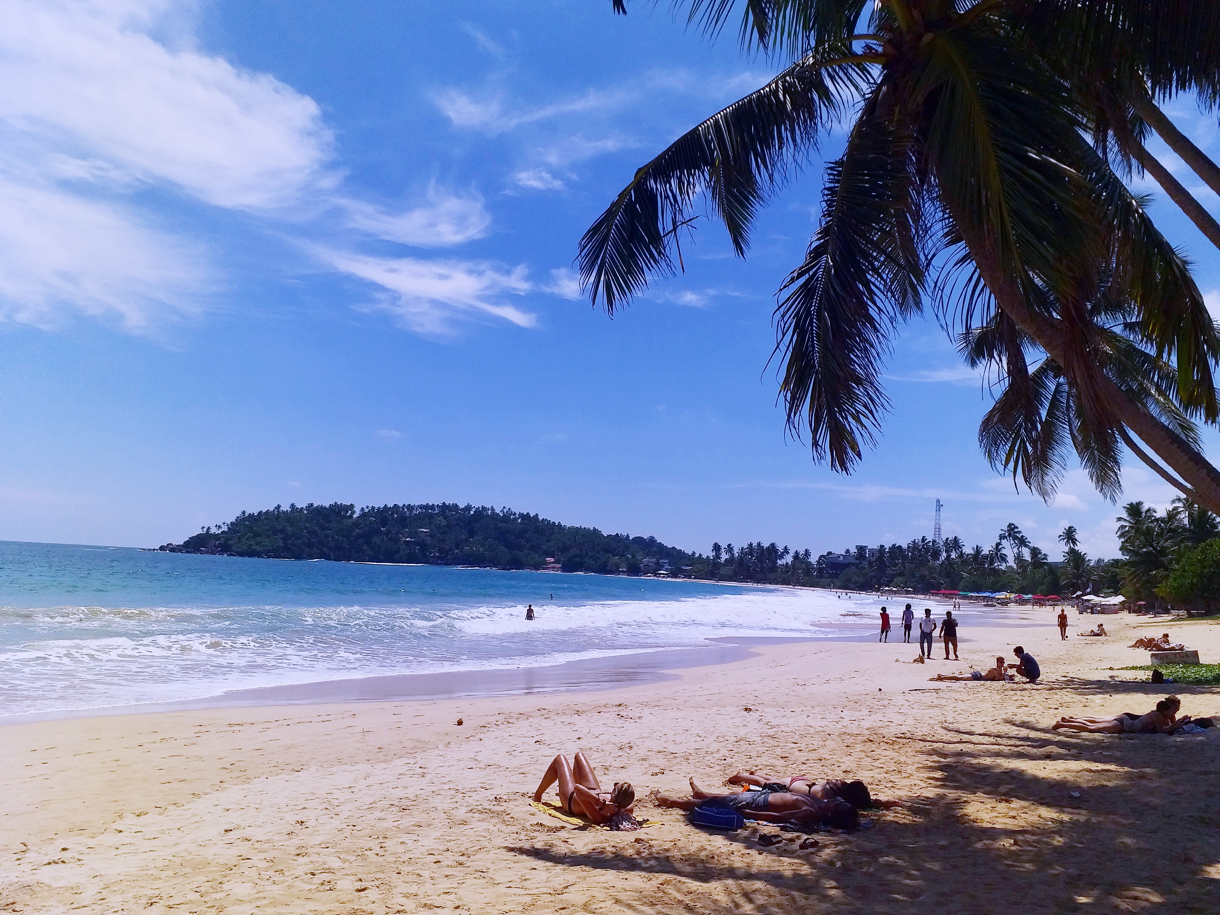 Coastal Bliss